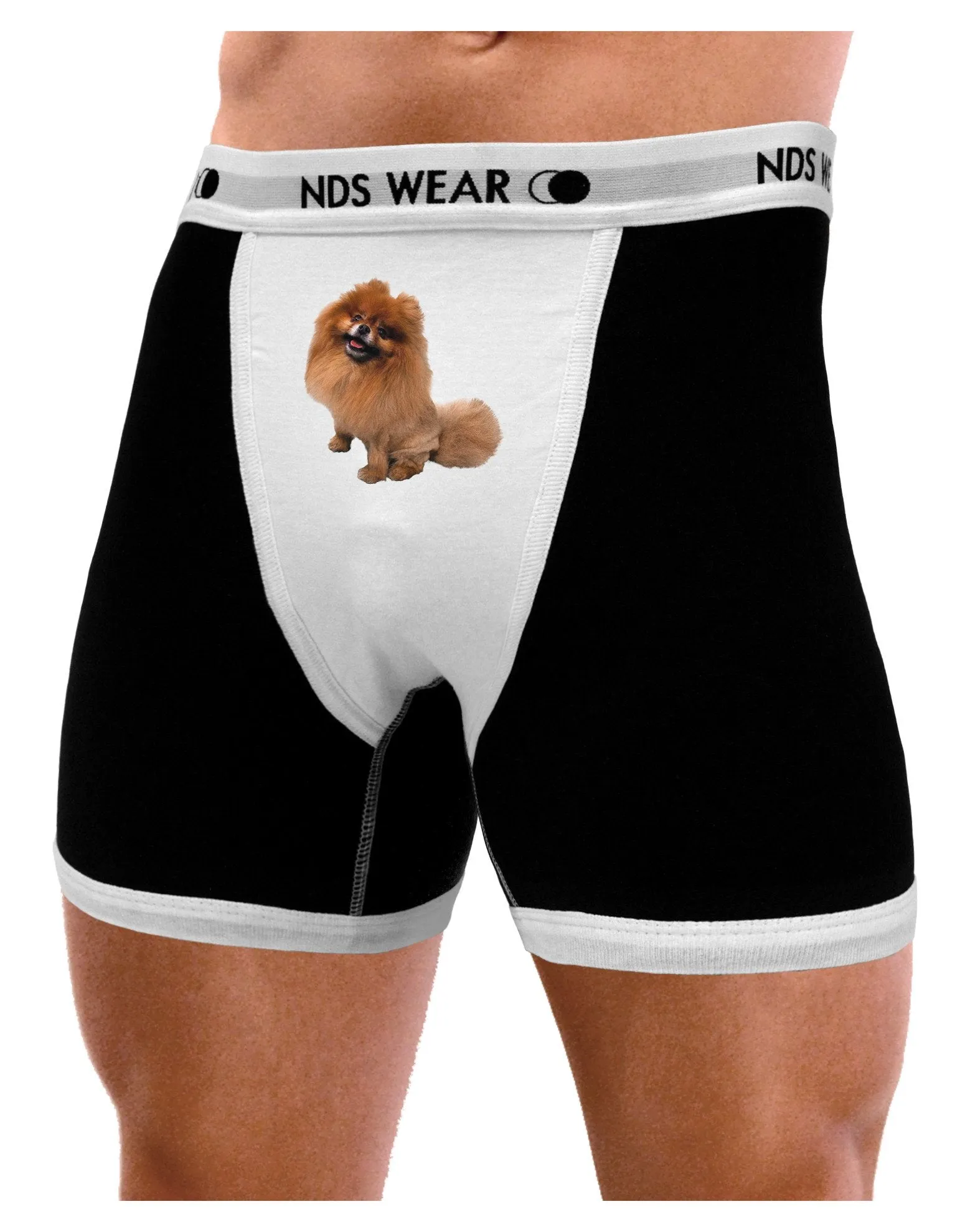 Pomeranian Sitting All Cute-Like Mens Boxer Brief Underwear